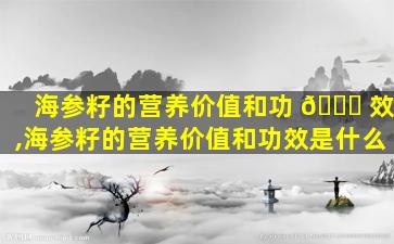 海参籽的营养价值和功 🐋 效,海参籽的营养价值和功效是什么